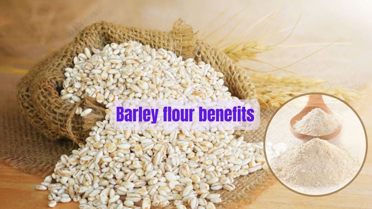Barley flour benefits and Faq