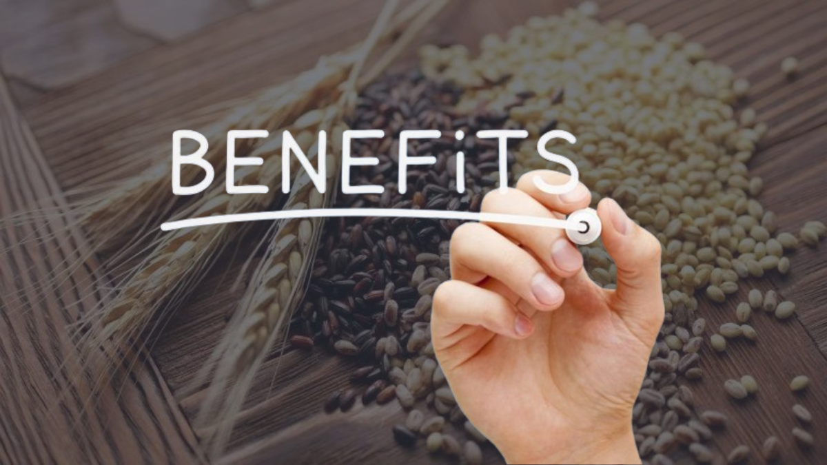 Black wheat and normal wheat benefits