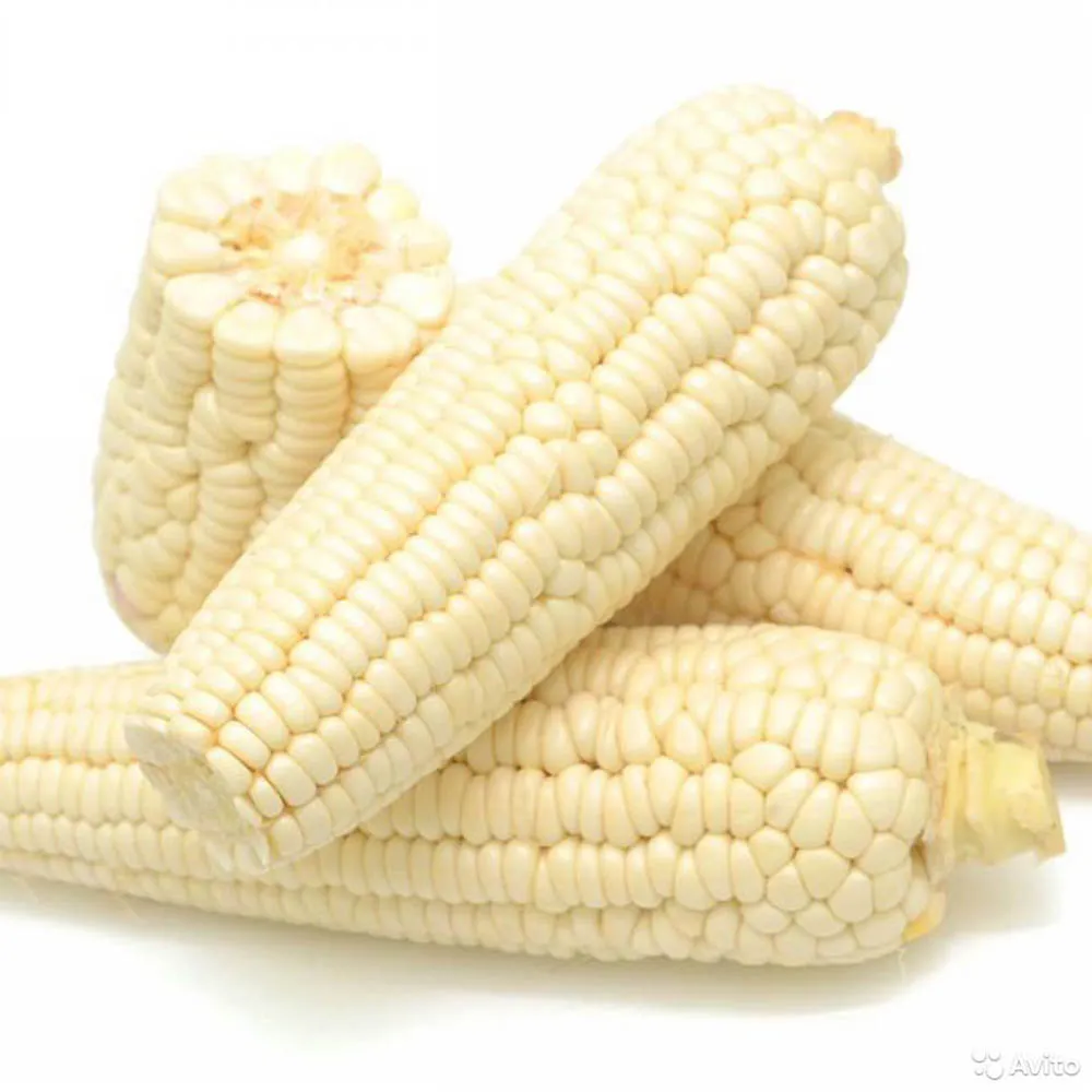 White corn, sweet corn, frozen corn